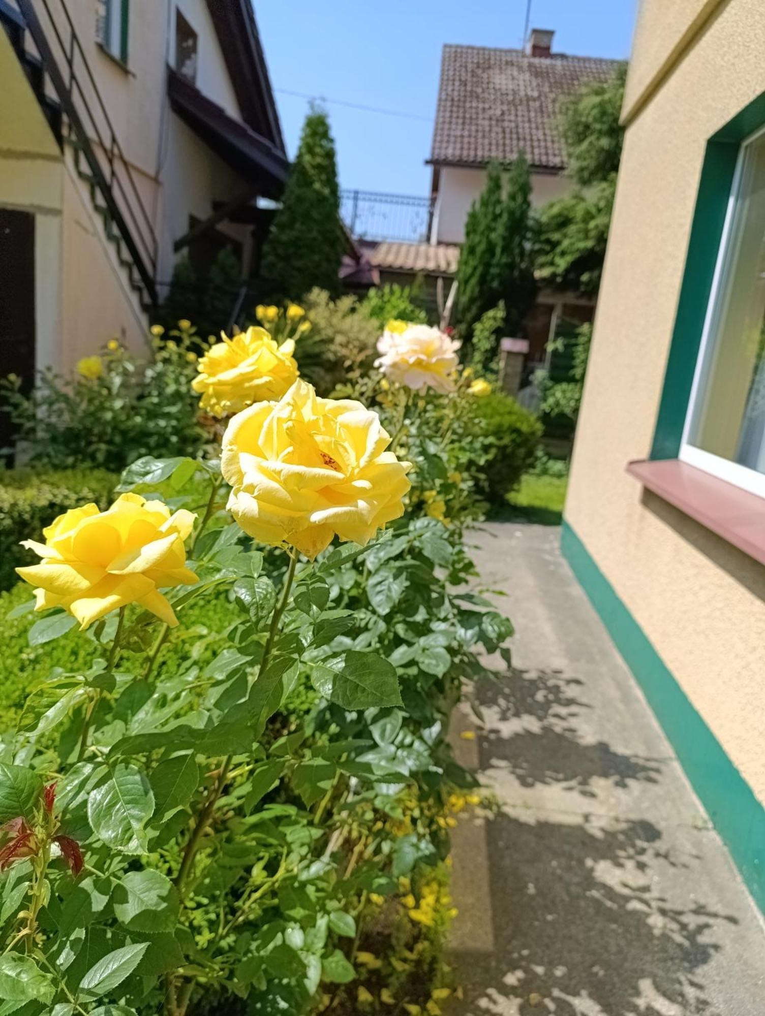 Mietowa Przystan Hotel Mielno  Exterior foto